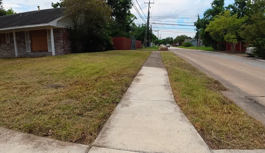 Trimmed shrubs and a manicured lawn after cleanup