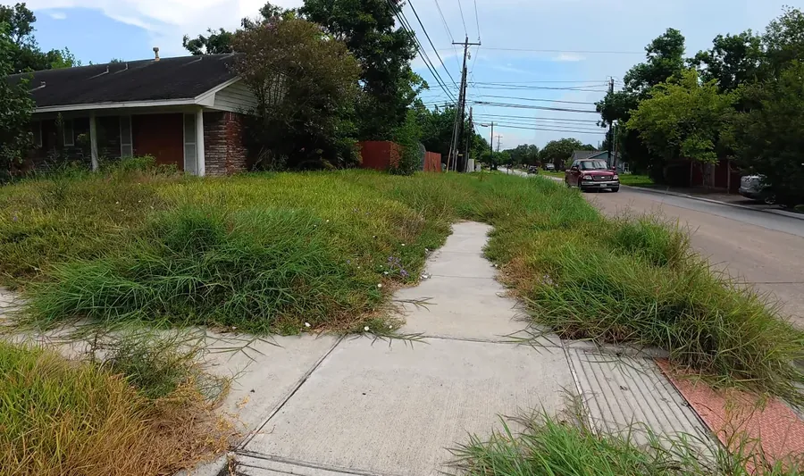 Neglected yard with overgrown shrubs blocking the front of the home