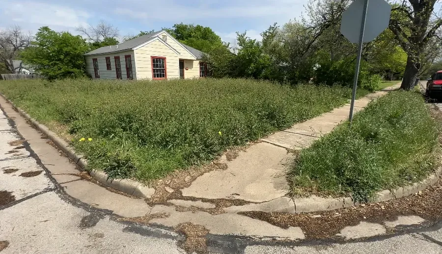 Commercial property with overgrown borders before service