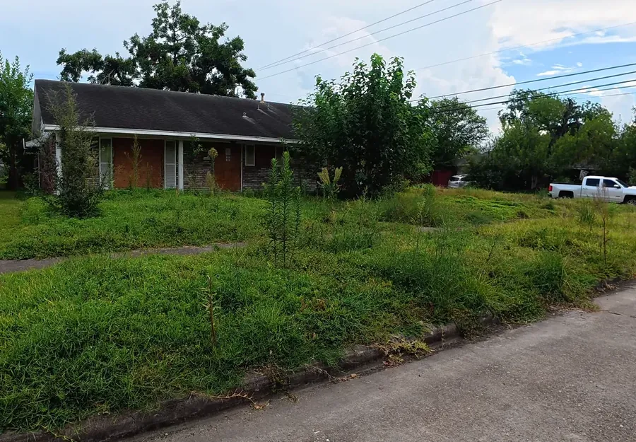 Neglected corner lot with mixed weeds and dead patches