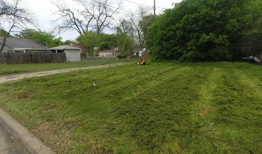 Even, healthy backyard turf with clean edges after service