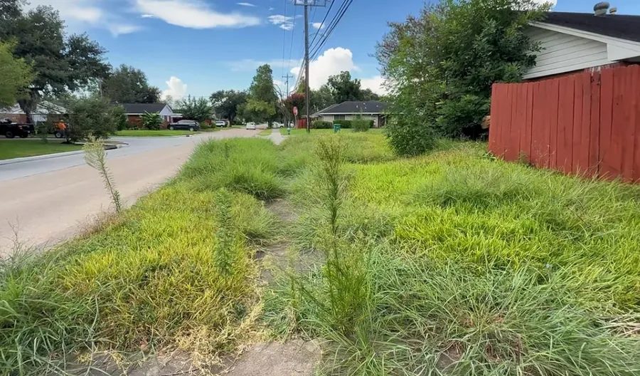 Tall, uncut grass and weeds taking over a property
