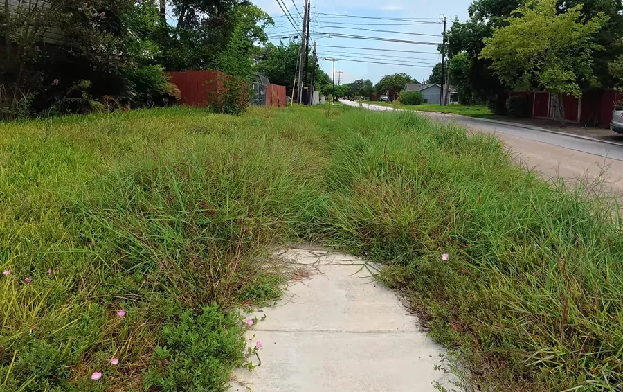 Weedy, brush-covered lot before restoration