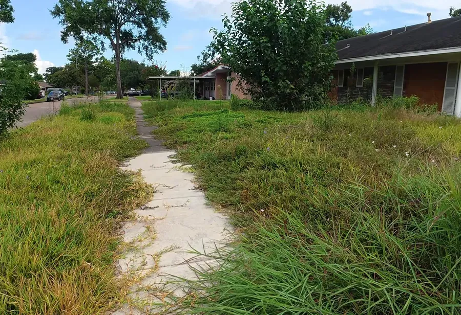 Unmaintained yard with knee-high weeds and overgrown beds