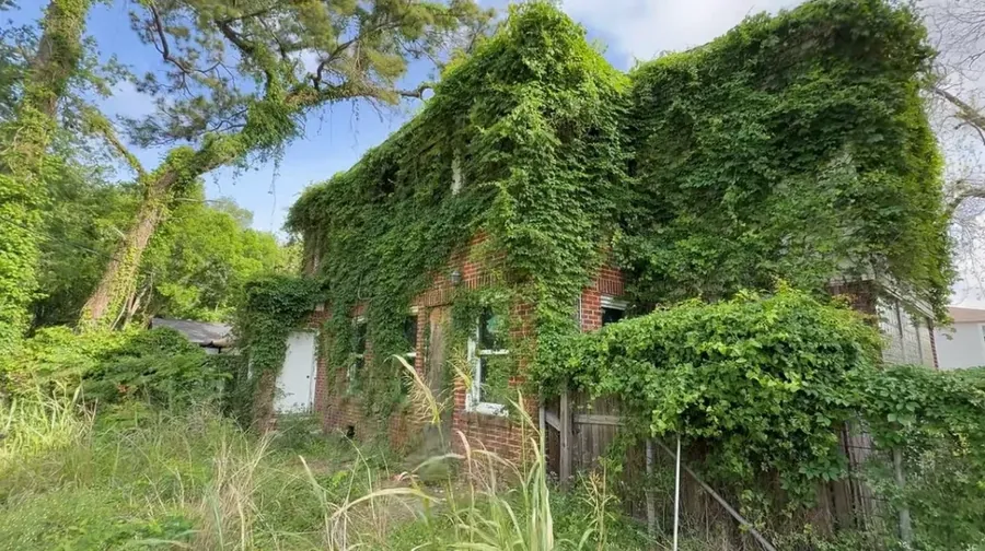Side yard with heavy weed overgrowth along a fence line