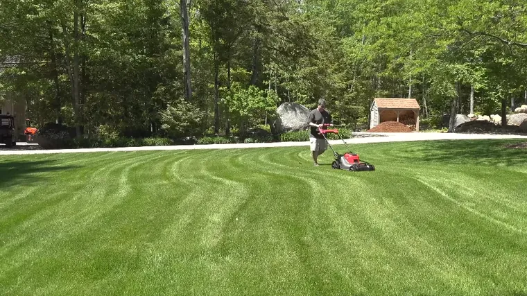 Well-maintained yard after a completed treatment visit