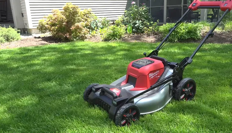 Wide residential lawn with clean mow lines