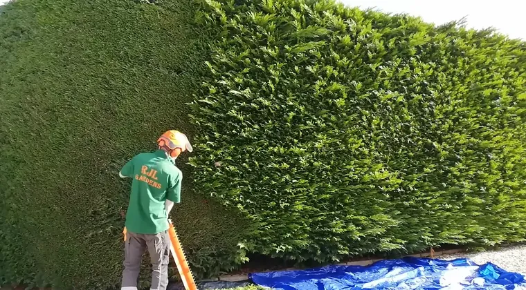 Residential front yard with fresh mowing stripes