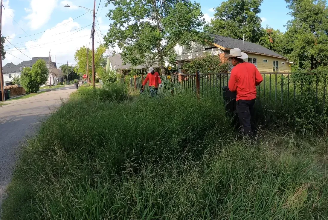 Technician applying whole-yard fire ant treatment