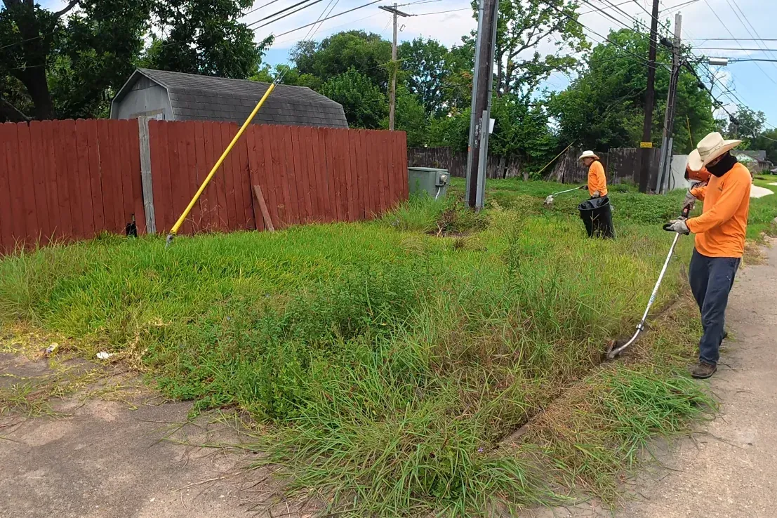 lawn services aiken sc — healthy dense turf after core aeration and fall care program in Aiken SC