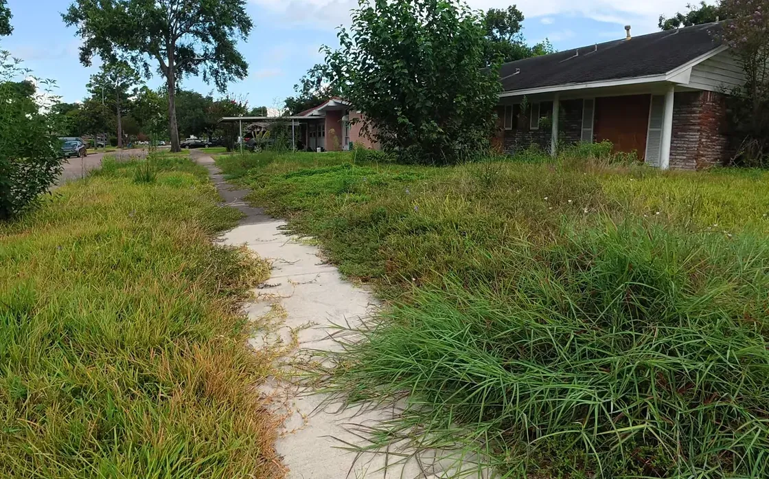 lawn aeration aiken sc results — healthy thick turf recovering after proper core aeration treatment in fall